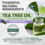 Tea Tree & Lavender Conditioner, Soothes Itchy, Dry Scalp, Refreshes, Hydrates, Detangles & Controls Frizz, Reduces Hair Loss, Lavender-Infused Nourishing Formula for All Hair Types, 16 fl oz
