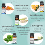 PURA D'OR Organic Perfect10 Essential Oils Set - 10x 10mL Wood Box Aromatherapy Gift Set - 100% Pure Therapeutic Grade for Relaxation and Wellness (Lavender, Peppermint, Eucalyptus, Tea Tree & More)