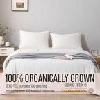 Bella Coterie | Luxury Bamboo Viscose King Size Pillowcase Set | 100% Organically Grown | Ultra Soft | Cooling | 2 Pcs [Ivory]