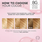 L'Oreal Paris Excellence Crème Permanent Hair Dye, Triple Care Hair Color with Pro-Keratine Complex for 100% Gray Hair Coverage, 8G Medium Golden Blonde, 1 Kit
