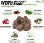 Deley Naturals Dog UTI Chews - Vet-Grade Cranberry Supplement for Dogs with D-Mannose & Echinacea for Bladder & Urinary Tract Health - Urinary Tract Supplements for Small to Large Breeds - 120 Chews