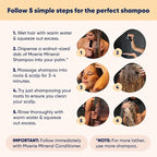 Moerie Shampoo and Conditioner Plus Hair Mask and Hair Spray Mega Pack – The Ultimate Hair Care Set – For Longer, Thicker, Fuller Hair - Volumizing Hair Products – Paraben & Silicone Free - 8 items