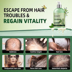 Rosemary Shampoo for Hair Growth: Thickening & Regrowth Shampoo with Tea Tree Oil Mint Biotin for Anti-Hair Loss & Thinning Hair for Women & Men - Strengthening Plant Formula, Sulfate Free