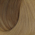 Full Shine Brown Seamless Clip in Hair Extensions Real Human Hair Brown Ombre to Blonde Hair Extensions 20 Inch for Women Hair Extension Real Human Hair PU Clip ins 120 G 8 PCS
