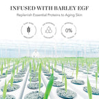 BIOEFFECT EGF Serum Treatment Duo with Hyaluronic Acid, Enhance Skin with Moisturizing, Firming, Wrinkle-Fighting Treatment for Face And Neck, Day And Night, Best Derma Roller Facial Serum