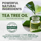 Tea Tree Oil Shampoo and Conditioner MaxTherapy Set, Itchy Scalp Relief, Refreshes & Cleanses Dandruff & Buildup, Clarifying for Oily Hair, Women & Men, 16 fl oz Each