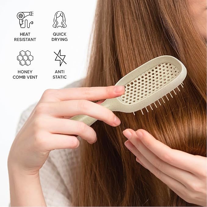 TADA Natural Beauty Hair Brush Detangler for Curly, Thick, Wavy, and Thin Hair - Ventilation Holes for Quick Drying and Styling, Detangler Brush for Women, Men, Kids (4 Colors) (2PK #2)
