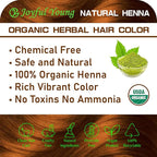 100% Organic Henna Hair Color – Natural, Chemical-Free Hair Dye for Rich, Vibrant Color & Gloss – Grey Coverage, Safe for All Hair Types, Vegan Non-Toxic, Herbal Hair Treatment (PURE HENNA)