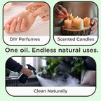 Tea Tree Essential Oil – Pure and Natural Tea Tree Aroma for Diffusers, Aromatherapy, Hair and Scalp Care, Skin Care, Massage Oils, Soap and Candle Making – with Dropper, 4 oz