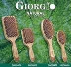 Giorgio Eco Friendly Wooden Bristle Hairbrush - Small Detangling Brush and Hair Growth Brush for Thick or Long Hair - Oval Paddle Hair Brush Made with Anti Static Beechwood, Silicone Massage Cushion