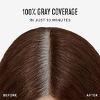 Madison Reed Root Perfection Permanent Root Touch Up, Medium Golden Brown 6G Dervio, 10 Minutes for 100% Gray Root Coverage, Ammonia-Free Hair Dye, Two Applications