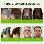Brown Hair Dye Shampoo for Women & Men, 15 Min Gray Coverage, 3 in 1 Semi-Permanent Color with Natural Herbal Ingredients, Lasts 60 Days