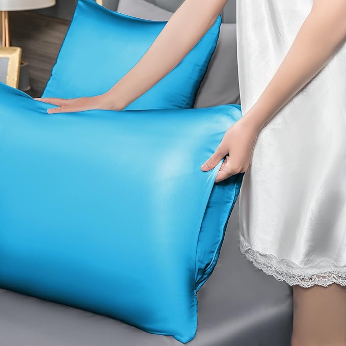 Mulberry Silk Pillowcase for Hair and Skin,Queen Size Cooling Silk Pillow Case with Hidden Zipper,Allergen Proof Dual Sides Soft Breathable Smooth Silk Pillow Cover for Women(Queen,Ice+ Blue)