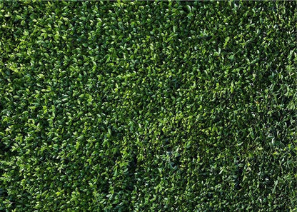 Nature Spring Green Leaves Theme Photo Background Wedding Birthday Party - Image 7