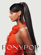 Frodio Clip in Ponytail Extension Human Hair for women Straight 18 Inches Long Straight Hair drawstring Ponytail Highlight