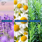 TheraICE Soothing Head Stick 10 ml (.33-Oz) Essential Oil Roll on Aromatherapy: Peppermint, Spearmint, Lavender, Chamomile, Rosemary, Eucalyptus. Metal Roller. USA Made