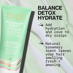 Pacifica Shampoo & Conditioner Set – Rosemary Purify Invigorating Set with Cooling Mint for Clarifying and Detoxing, Sulfate-Free, Vegan & Cruelty-Free, 12 oz & 8 oz (Set of 2)