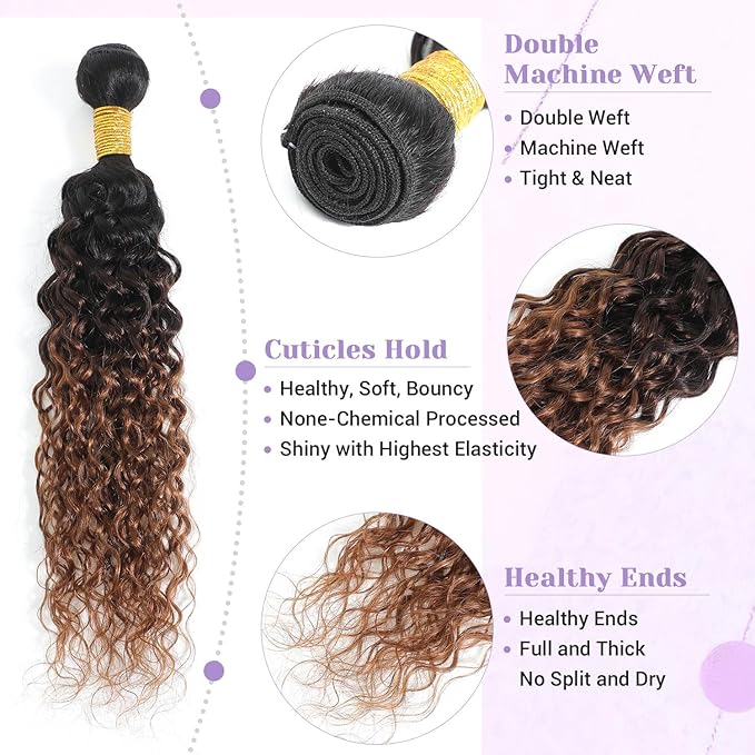 Water Wave Ombre Bundles Human Hair T1B/2/30 Chestnut Brown Ombre Color 2 Bundles of 12 Inch 100% Real Human Hair Unprocessed Raw Material For Quicky Weave
