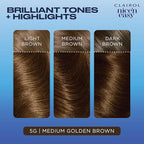 Clairol Nice'n Easy Permanent Hair Dye, 5G Medium Golden Brown Hair Color, Pack of 1