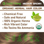 100% Organic Henna Hair Color – Natural, Chemical-Free Hair Dye for Rich, Vibrant Color & Gloss – Grey Coverage, Safe for All Hair Types, Vegan Non-Toxic, Herbal Hair Treatment (MEDIUM BROWN)