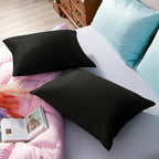 NTBAY Zippered Satin Pillow Cases for Hair and Skin, Luxury Standard Hidden Zipper Pillowcases Set of 2, 20x26 Inches, Black