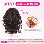 REECHO Ponytail Extension, 9" Short Curly Wavy Claw Clip Synthetic Fiber Pony tails Hair Extensions HP001 Hairpieces for Women - Deep Brown