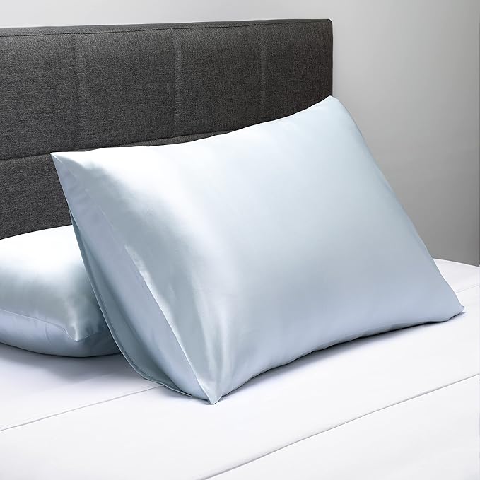 Fishers Finery 19mm 100% Pure Mulberry Silk Pillowcase, Quality Tested (Blue, Q)