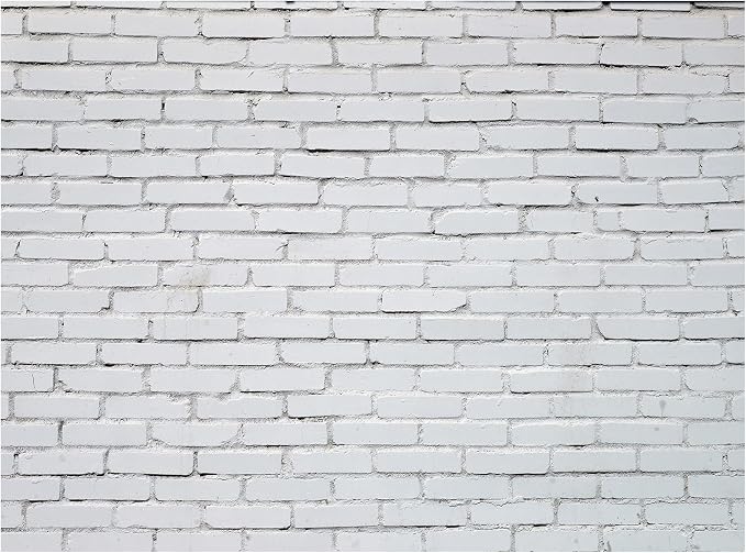 VitalCozy 10 x 8ft White Brick Wall Backdrop Fabric Brick Photo Background | by VitalCozy