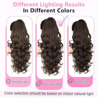 ALXNAN Claw Long Wavy Ponytail Extension,24 Inch Curly Pony Tail Clip in Hair Extensions for Women,Dark Chocolate Brown Clip on Pony Tails Hair Extensions