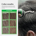 Just For Men Shampoo-In Color (Formerly Original Formula), Mens Hair Color with Keratin and Vitamin E for Stronger Hair - Ash Brown, H-20, Pack of 2