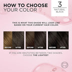 L'Oreal Paris Excellence Crème Permanent Hair Dye, Triple Care Hair Color with Pro-Keratine Complex for 100% Gray Hair Coverage, 3 Natural Black, 1 Kit (Pack of 2)