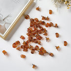 Cobahom 120PCS Mini Claw Hair Clips, 0.39 Inch/1cm Claw Clips for Hair, No-Slip Plastic Small Jaw Clips for Fine Thin Hair, Micro Hair Clips for Women Girls, Brown