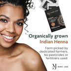 Marie-José Henna Dye - Professional Henna Tint for Spot Coloring - Covers Grey Hair - Root Touch Up - Good for 50 Applications (Chestnut)
