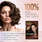 Herbishh Hair Color Shampoo for Gray Hair–Natural Hair Dye Shampoo with Argan Hair Mask–Travel size-Colors Hair in Minutes–Long lasting colour–1pack –Ammonia-Free (#Dark Brown)