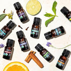 Cliganic Organic Citronella Essential Oil - 100% Pure Natural for Aromatherapy Diffuser | Non-GMO Verified (Packaging May Vary)
