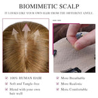 VERNA Real Human Hair Topper, 10 Inch 100％ Human Hair Toppers for Women with Thinning Hair, Large area Coverage Light Brown Hairpiece Wiglet for Daily Wear(8 * 11)