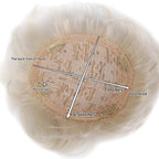 H&Bwig Men Short Toppers Hairpiece Clip in Hair Extensions for Covering White Loss Hair Toupee (Blonde6063#613)