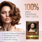 Herbishh Hair Color Shampoo for Gray Hair–Natural Hair Dye Shampoo with Argan Hair Mask–Travel size-Colors Hair in Minutes–Long lasting colour–10pack+1pack–Ammonia-Free (Light Brown)