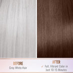 Herbishh Gray Hair Color Shampoo - Natural Argan Mask for Long-Lasting Color in Minutes - Travel Size, 10 Pack + 1 Pack, Ammonia-Free (Chestnut Brown)