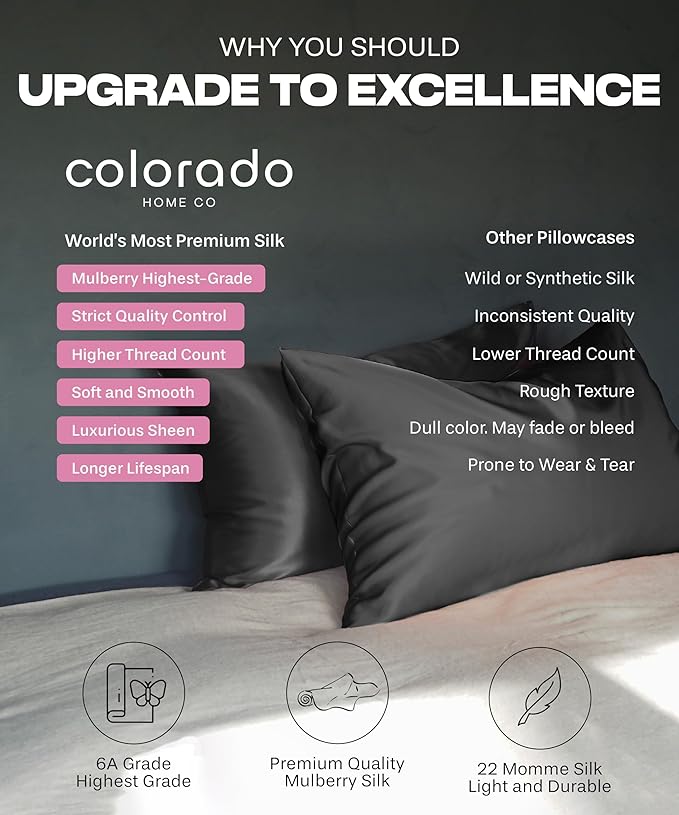 SUNDAYSILKS™ Premium Silk Pillow Cases | 100% Mulberry Silk Pillowcase with Zipper, All Sides Real 22 Momme Grade 6A Silk, Standard Queen, King Size [Pure White]