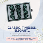 Blissy Silk Scrunchies (3 Pack) - 100% Pure Mulberry 22 Momme 6A High-Grade Fibers Scrunchie for Straight & Curly Hair (Emerald, Regular)
