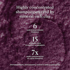 SHAZ & KIKS Balancing Clay Scrub Shampoo | Gently Exfoliate, Clarify & Detoxify Scalp | Reduce Hair Shedding & Product Buildup | Indian Clay and Hibiscus | Color-Safe, Sulfate-Free, Natural | 230ml