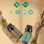 yethious Sandalwood Vetiver Essential Oil Set 100% Pure Organic Undiluted Aromatherapy Oils for Diffuser, Skin, Hair, Perfume, Soap, Candle Making 2 x 10ML