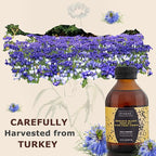 Organic Black Seed Oil 8.4 Fl Oz – 100% Turkish Cold-Pressed Nigella Sativa with 3X Thymoquinone – Pure Cumin Extract in Amber Glass Bottle for Immune, Hair, Skin & Overall Wellness