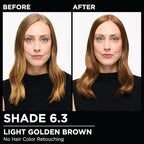 Garnier Hair Color Olia Ammonia-Free Brilliant Color Oil-Rich Permanent Hair Dye, 6.3 Light Golden Brown, 1 Count (Packaging May Vary) (Pack of 2)