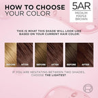 L'Oreal Paris Excellence Crème Permanent Hair Dye, Triple Care Hair Color with Pro-Keratine Complex for 100% Gray Hair Coverage, 5AR Medium Maple Brown, 1 Kit (Pack of 2)