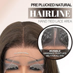 Glueless Synthetic Lace Front Wig 26 Inches Long Straight Wigs for Black Women 13x5x1 HD Lace Hand Tied Pre Plucked Hairline (#4 Chocolate Brown, 26 Inch)