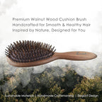 Lindale Walnut Wooden Hair Brush for Hair Growth with Natural Walnut Bristles Detangler Paddle Hairbrush for Massaging Scalp for Women Men, Reduces Static for Curly Hair with Ergonomic Handle Oval