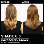 Garnier Hair Color Olia Ammonia-Free Brilliant Color Oil-Rich Permanent Hair Dye, 6.3 Light Golden Brown, 1 Count (Packaging May Vary) (Pack of 2)