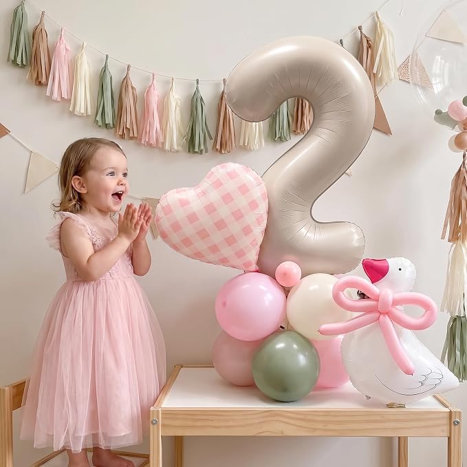 One Silly Goose 2nd Birthday Decorations - Image 5